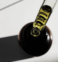 Load image into Gallery viewer, Gold Coast | Skin Smoothing Body Oil